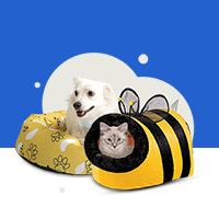 Pet Accessories